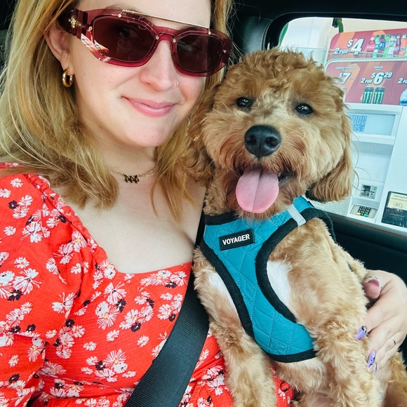 Meet your Posher, Hey hey I’m Tay Tay - Picture 3 of 5